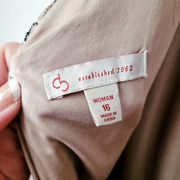 Gorgeous Cocoa Lace chiffon dress - Picture 4 of 4